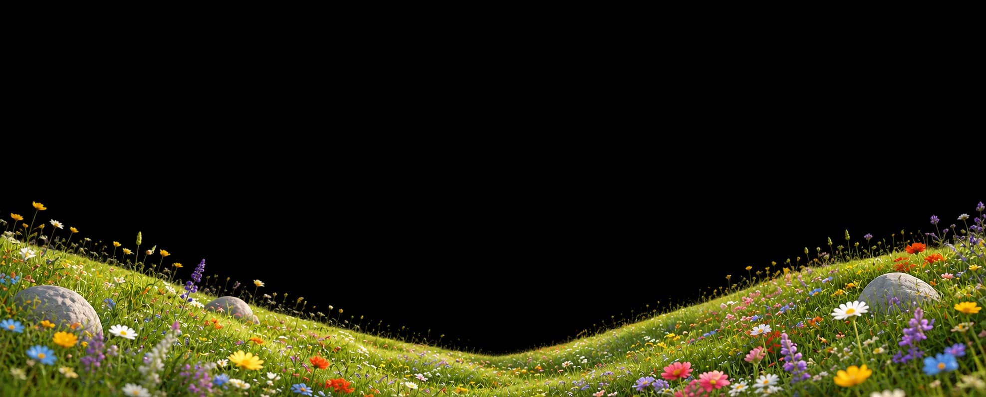 Meadow wildflowers illustration